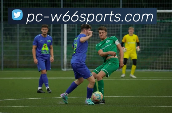 球赛投注APP 封面图